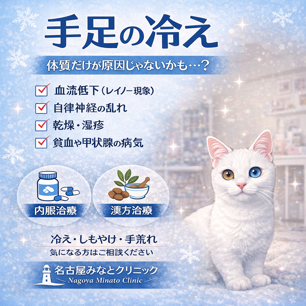 手足の冷え（冷え性）に有効な治療は？内服・塗り薬・漢方までわかりやすく解説　名古屋みなとクリニック